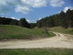 sam_2848